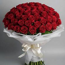 Букет 101 Красная роза Блэк Мэджик в Рязанской