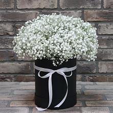 Цветочная композиция из Гипсофила в шляпной коробке в Рязанской