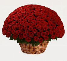 Премиум букет из: Розы в Рязанской